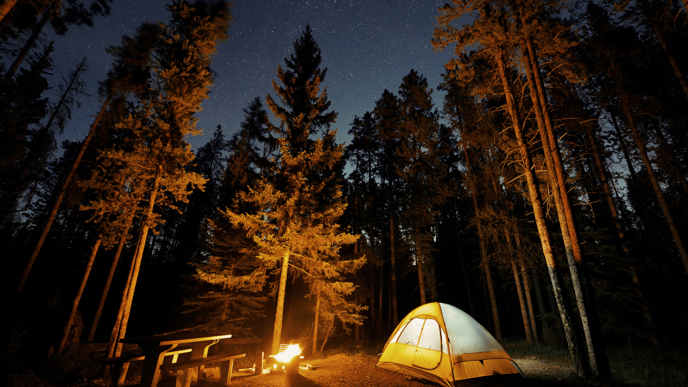 From Tents to Luxury: Why Glamping Is the New Travel Trend